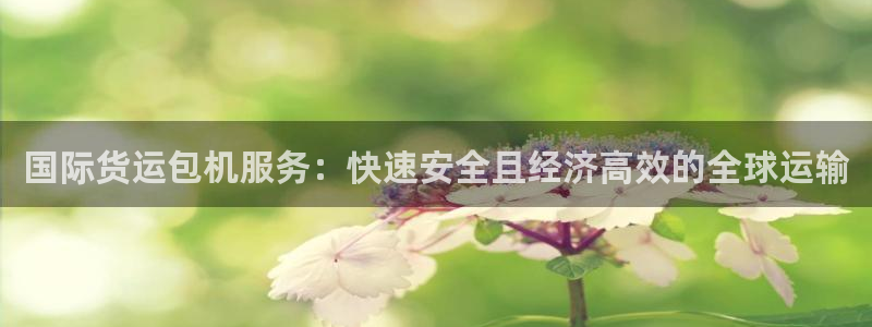 尊龙凯时app官方网站：国际货运包机服务：快速安全且经济