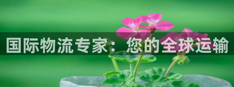 尊龙凯时城娱乐