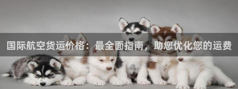 尊龙凯时下载人生就是博：国际航空货运价格：最全面指南，助