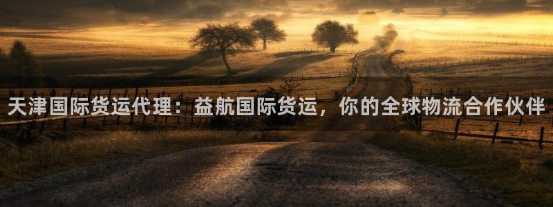尊龙d88用现推选ag发财网：天津国际货运代理：益航国际