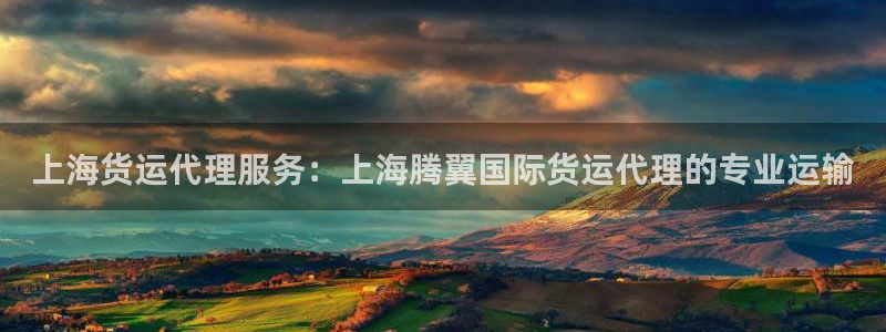 尊龙凯时提不了款：上海货运代理服务：上海腾翼国际货运代理