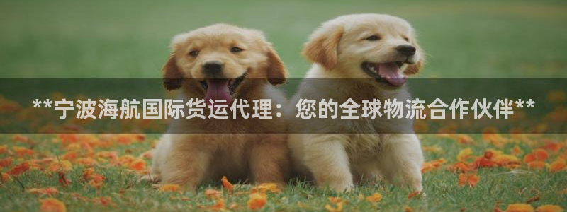 尊龙凯时登陆：**宁波海航国际货运代理：您的全球物流合作