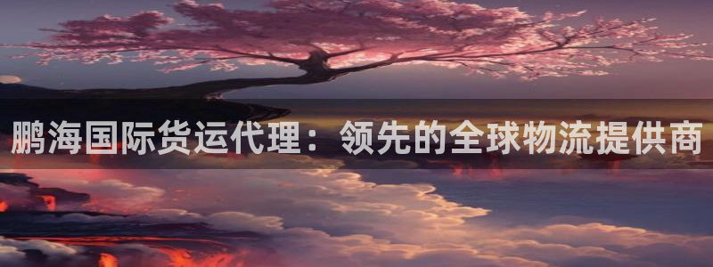 尊龙下载推荐网站：鹏海国际货运代理：领先的全球物流提供商