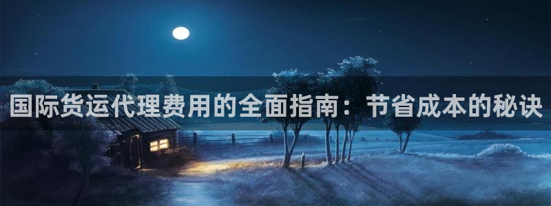 尊龙凯时最新平台登陆：国际货运代理费用的全面指南：节省成