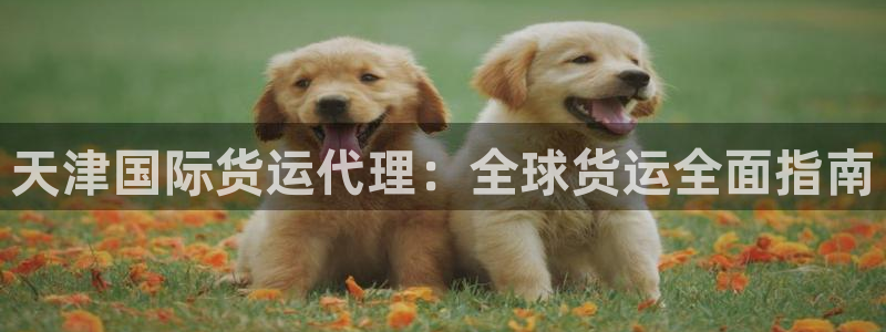 尊龙凯时ag旗舰厅官：天津国际货运代理：全球货运全面指南