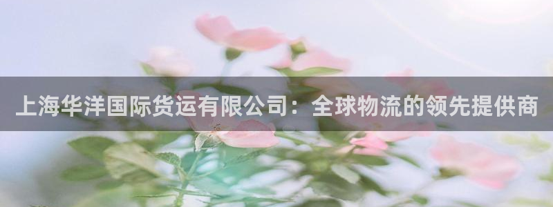 尊龙人生就是博客服：上海华洋国际货运有限公司：全球物流的