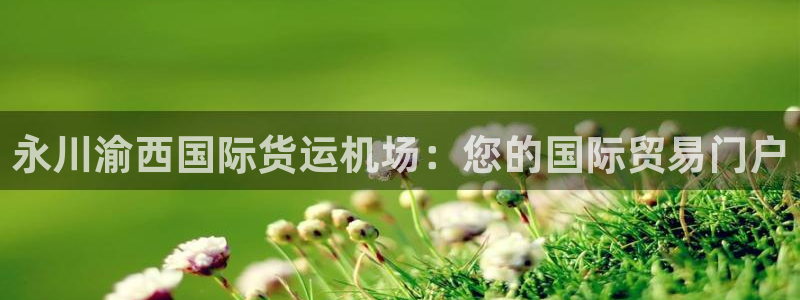 尊龙凯时 人生就是搏：永川渝西国际货运机场：您的国际贸易