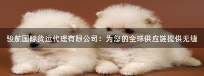 尊龙尊龙：骏航国际货运代理有限公司：为您的全球供应链提供