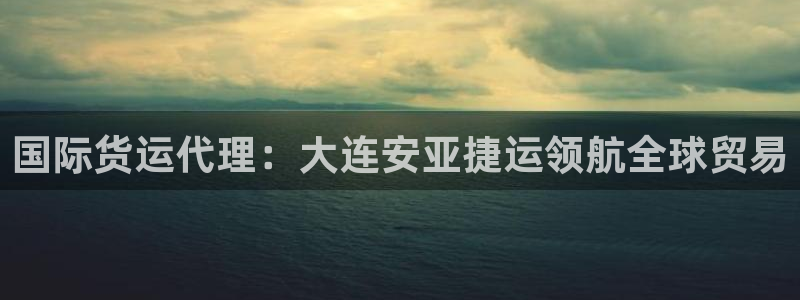尊龙t600：国际货运代理：大连安亚捷运领航全球贸易