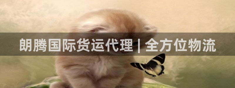 尊龙app|首选agdaohang：朗腾国际货运代理 |