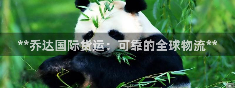 尊龙人生就是博下载：**乔达国际货运：可靠的全球物流**