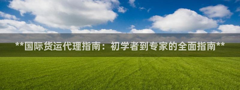尊龙凯时登入首页：**国际货运代理指南：初学者到专家的全