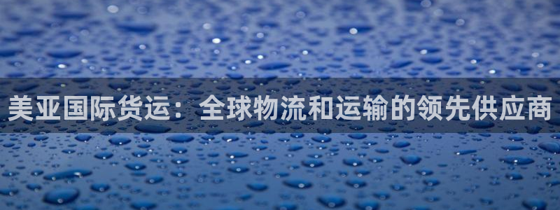 尊龙服饰有限公司地址：美亚国际货运：全球物流和运输的领先