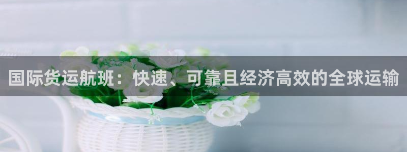 尊龙贴吧：国际货运航班：快速、可靠且经济高效的全球运输