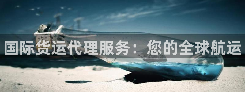 尊龙人生就是博旧版手机可靠送38元：国际货运代理服务：您