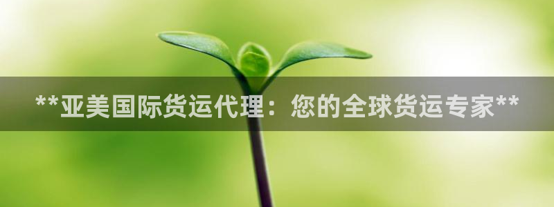 尊龙凯时有限公司：**亚美国际货运代理：您的全球货运专家