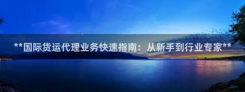 尊龙官方网站首页：**国际货运代理业务快速指南：从新手到