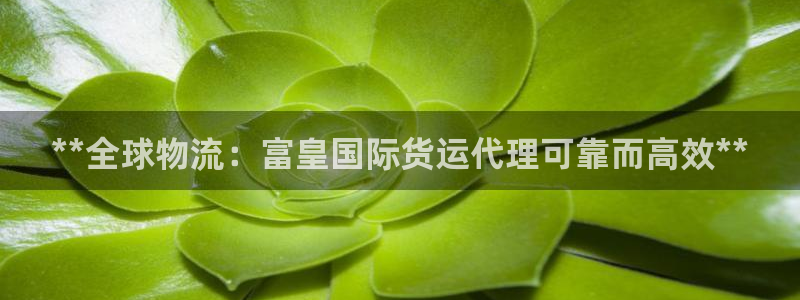 尊龙官网地址：**全球物流：富皇国际货运代理可靠而高效*