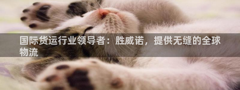 尊龙网站人生就是博：国际货运行业领导者：胜威诺，提供无缝