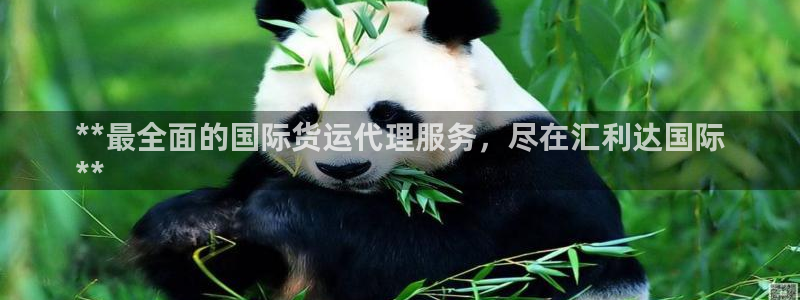 尊龙凯时企业文化：**最全面的国际货运代理服务，尽在汇利