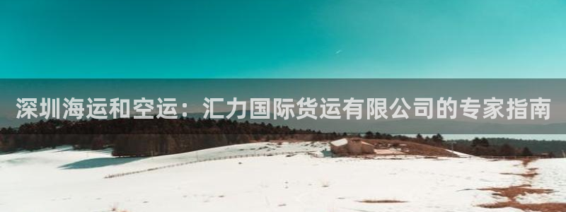 尊龙手机版下载：深圳海运和空运：汇力国际货运有限公司的专
