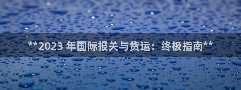 尊龙休闲e站怎么样：**2023 年国际报关与货运：终极