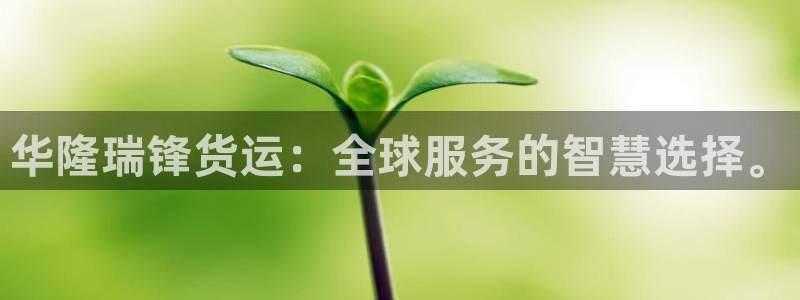 尊龙凯时平台怎么样