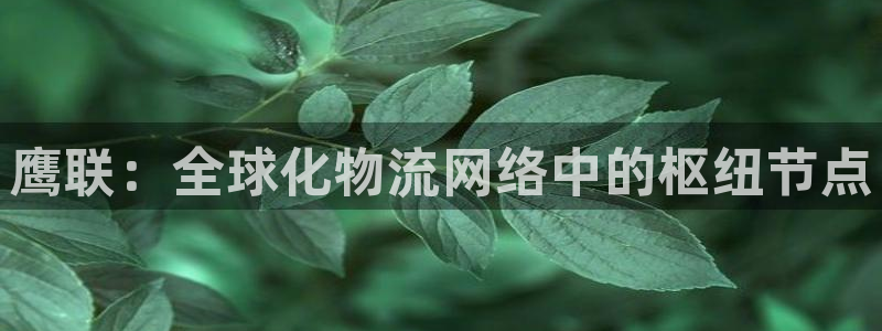 尊龙网址是多少