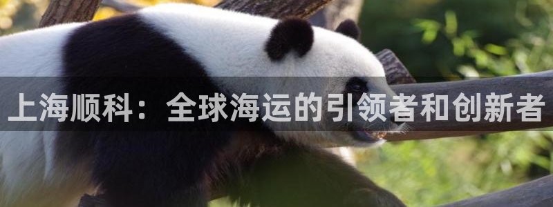 尊龙AG旗舰厅APP