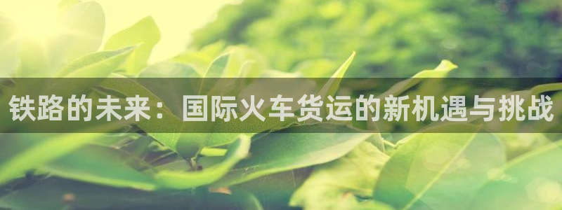 尊龙官网免费下载安装