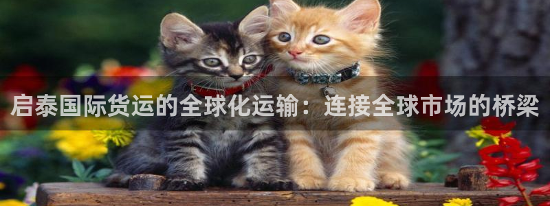 尊龙凯时能做退米么