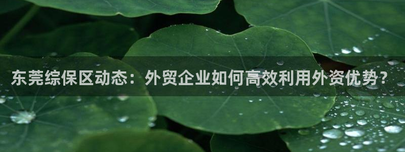 尊龙凯时公司官网