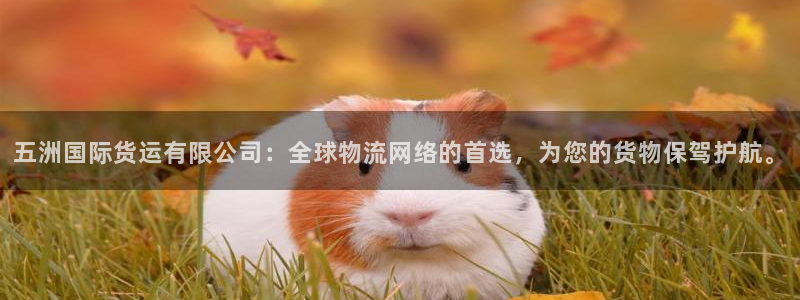 尊龙d88手机版下载
