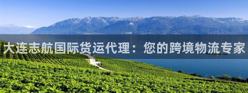 尊龙凯时平台怎么样：大连志航国际货运代理：您的跨境物流专